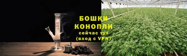 индика Белоозёрский