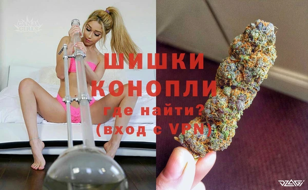 ECSTASY Белокуриха