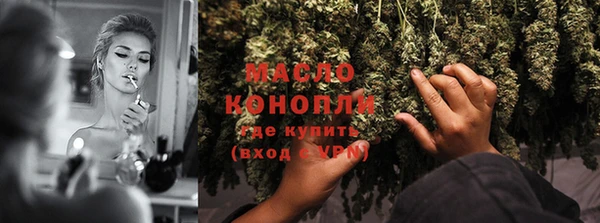 индика Белоозёрский